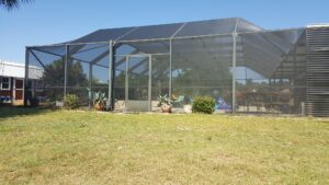 Pool Enclosure