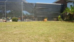 Pool Enclosure