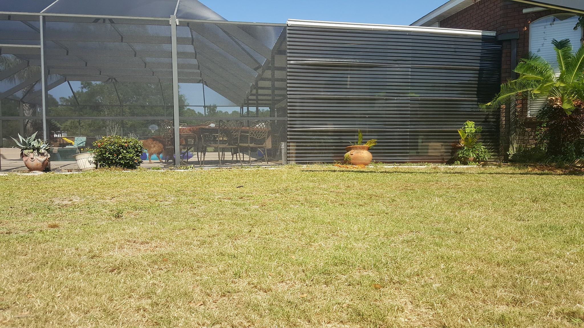 Pool Enclosure