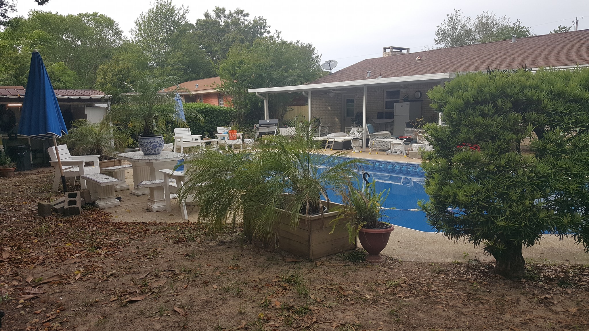 before Pool Enclosure