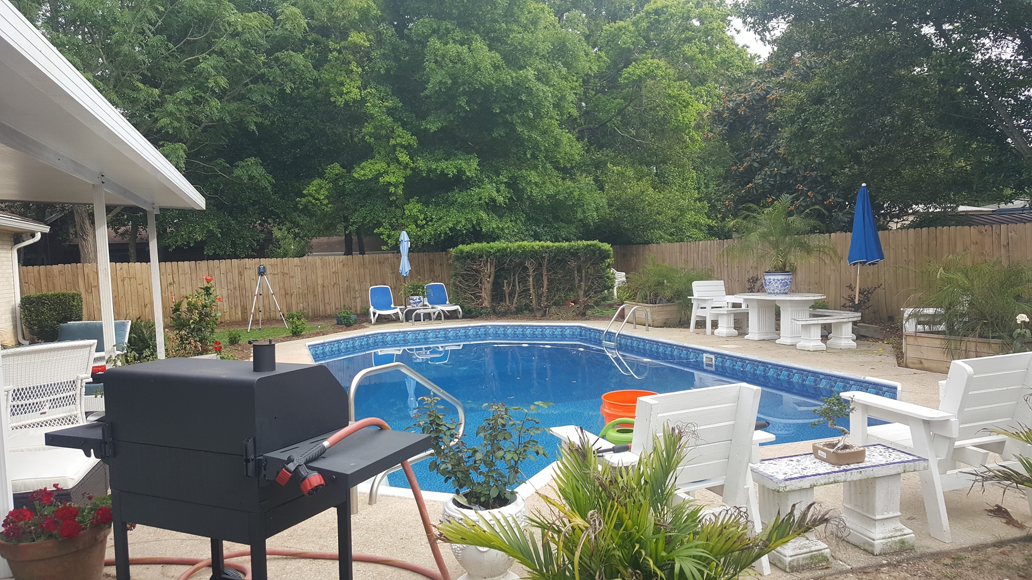 before Pool Enclosure
