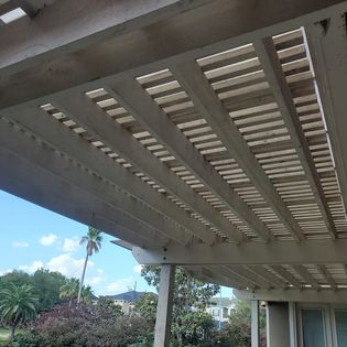 Lattice