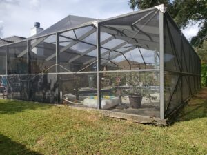 pool screen cage